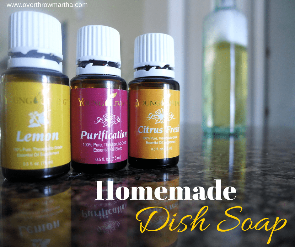 Homemade dish soap