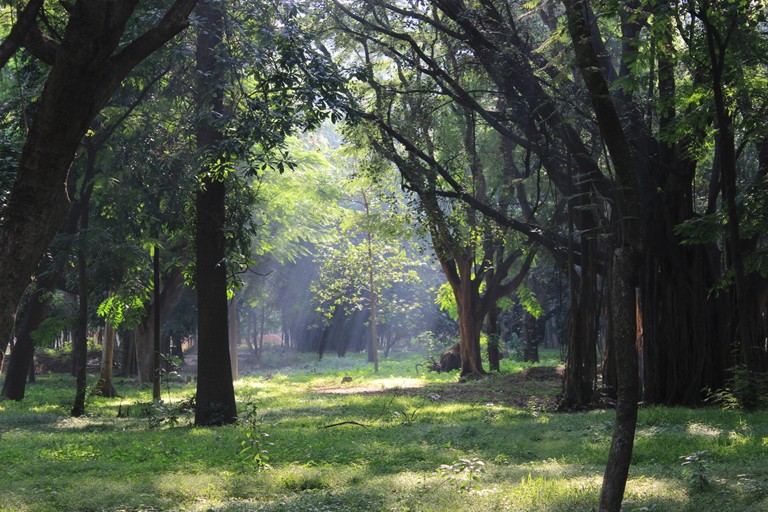 Cubbon Park - Best places for pre wedding shoot in Bangalore