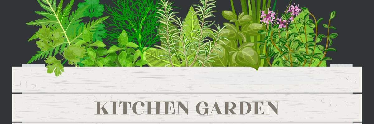 Indian Kitchen Garden Plants You can Grow Right Now 1