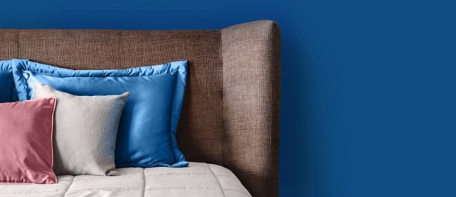 the Pantone Colour of the Year 2020 and how to use it