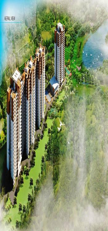 prestige-group-misty