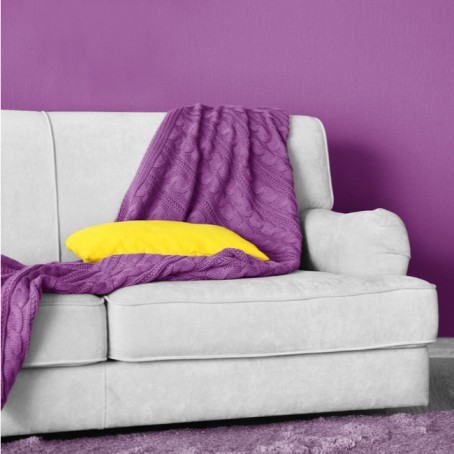  Living Room Colour Combination