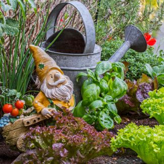 garden gnome ornament figurine 
