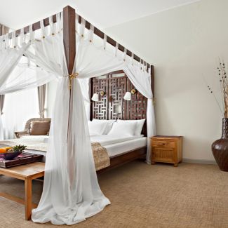 bedroom interior with canopy bed