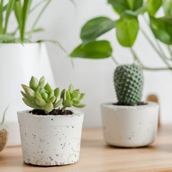 Cement Flower Pot Design