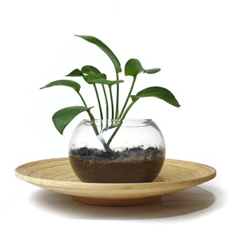 Glass Flower Pot Design