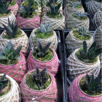 Handmade Flower Pot Design