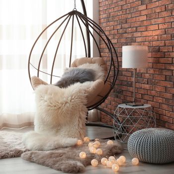 Hang Chair in Drawing Room