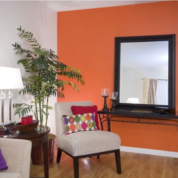 Large Mirror for Living Room