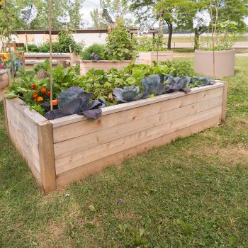 Raised Bed Kitchen Garden Ideas
