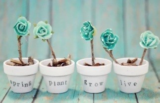 Small Flower Pot Design