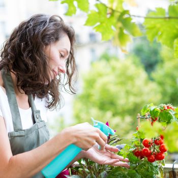 Terrace Kitchen Garden Ideas