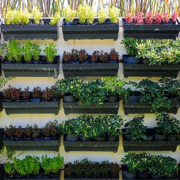 Vertical Kitchen Garden