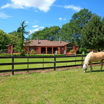 Ranch House: Texas-style Barns
