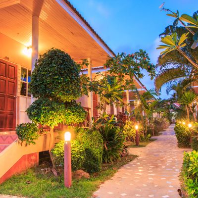 Bungalow House Design With Terrace