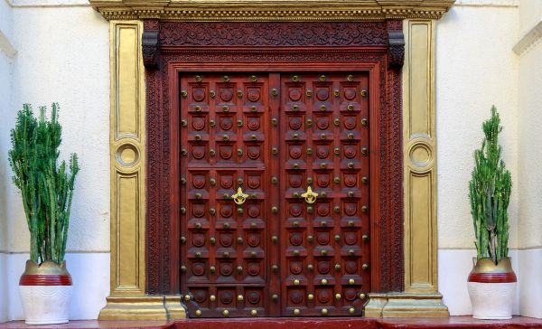 Modern Double Front Door with Half-Circle Pull Handles