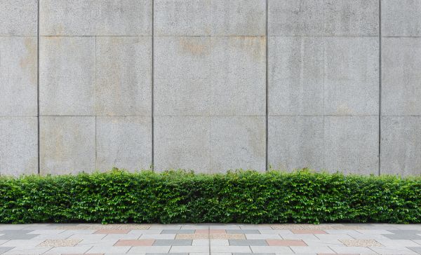 2024’s Most Attractive Exterior Wall Texture Design