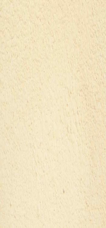 Best Paint for Living Room Walls