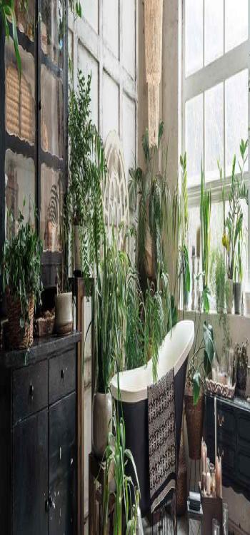 Highlight With Greenery