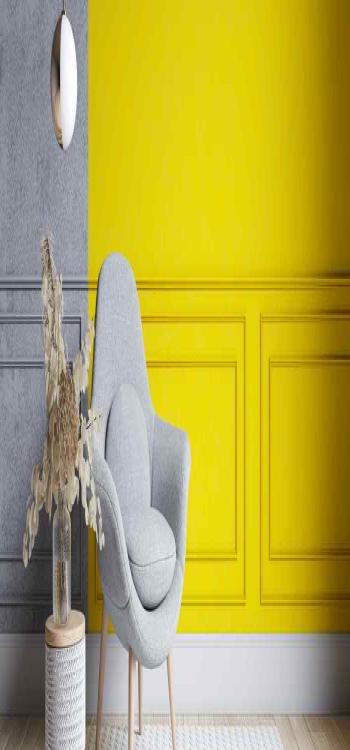 Best Types of Wall Paint for All Walls in Home Interior and Exterior Walls