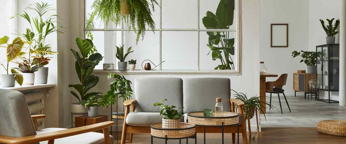 Try Out A Minimal Scandinavian Concept
