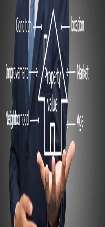 Market Value in Andhra Pradesh Find Land Prices by District 2024