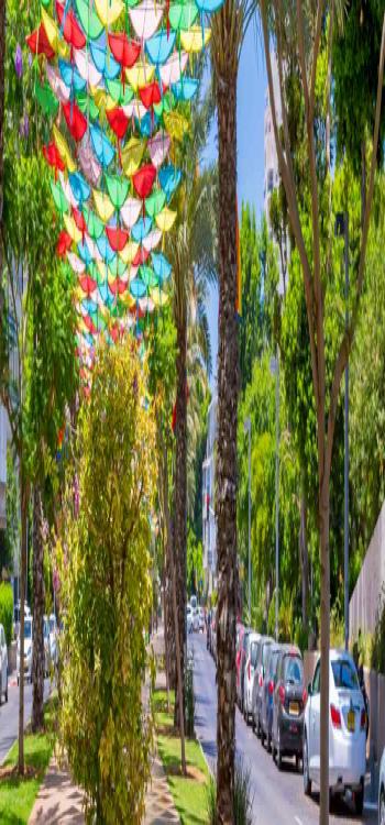 Sankranti Loot Decoration