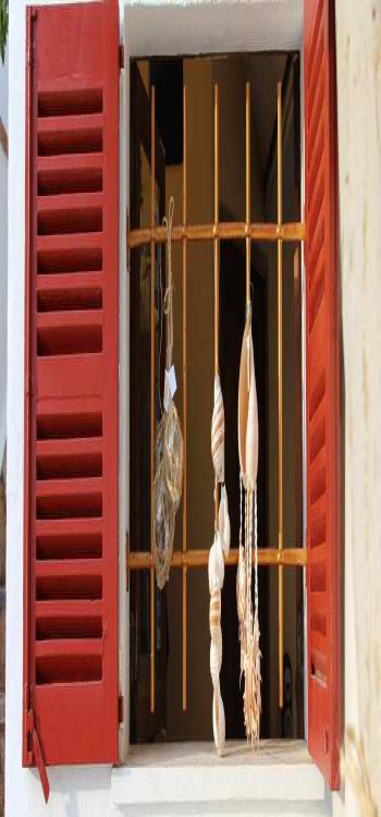 Trendy Window Colour Combination for the Indian Homes in 2024