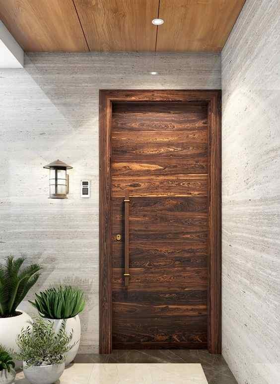 Latest Flush Door Design Ideas for Indian Homes