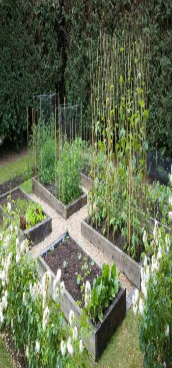 Allotment garden needs proper water flow for a healthy growth