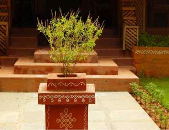 Tulsi Plant Vastu