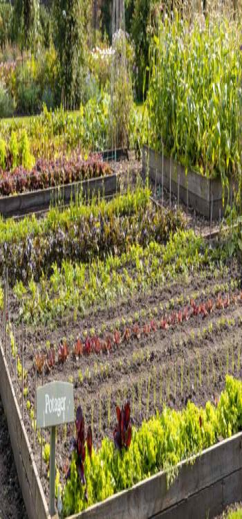 Potager Garden if taken care of regularly are durable and easy to maintain 