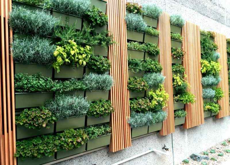 backyard garden ideas