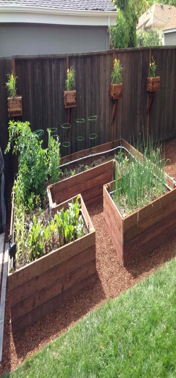 backyard garden ideas