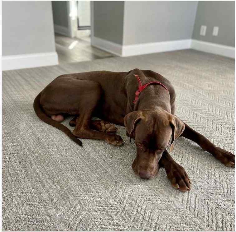 floor carpet design