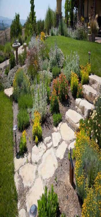 backyard garden ideas