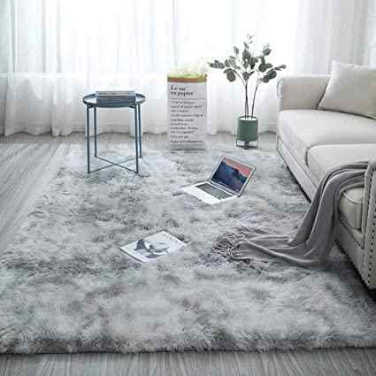 Living Room Rugs