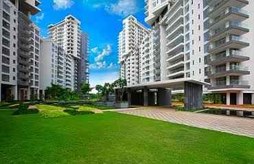 blog-image