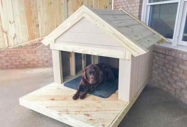 can you put cedar chips in a dog house
