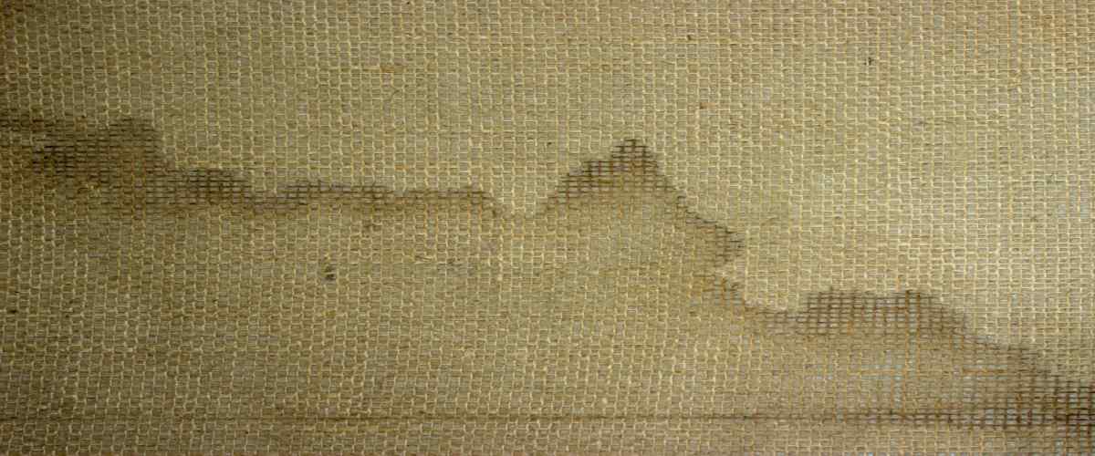 Best Carpet Cleaning Services in Chennai Upto 60 Off