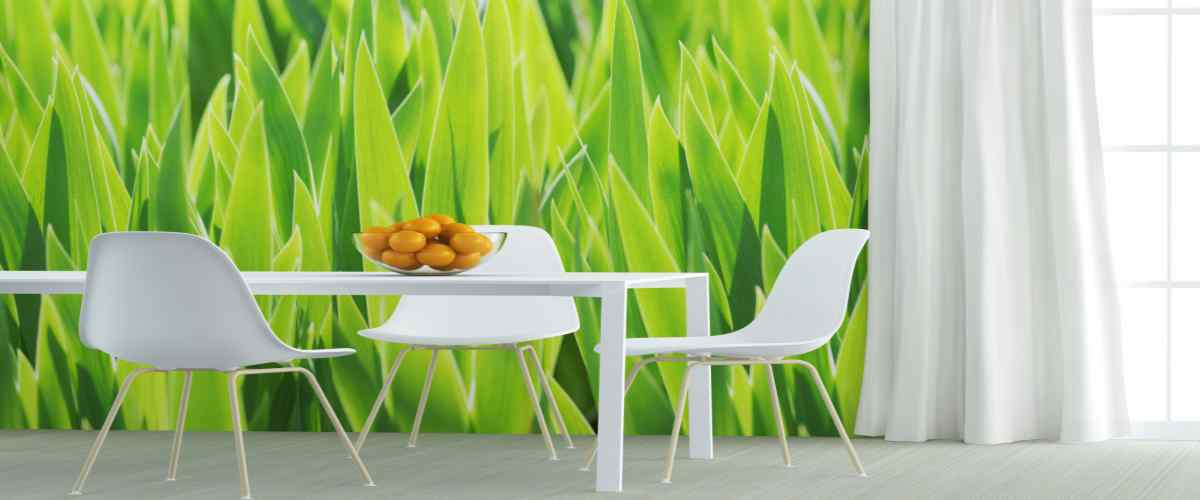 3d Wallpaper for Living Room