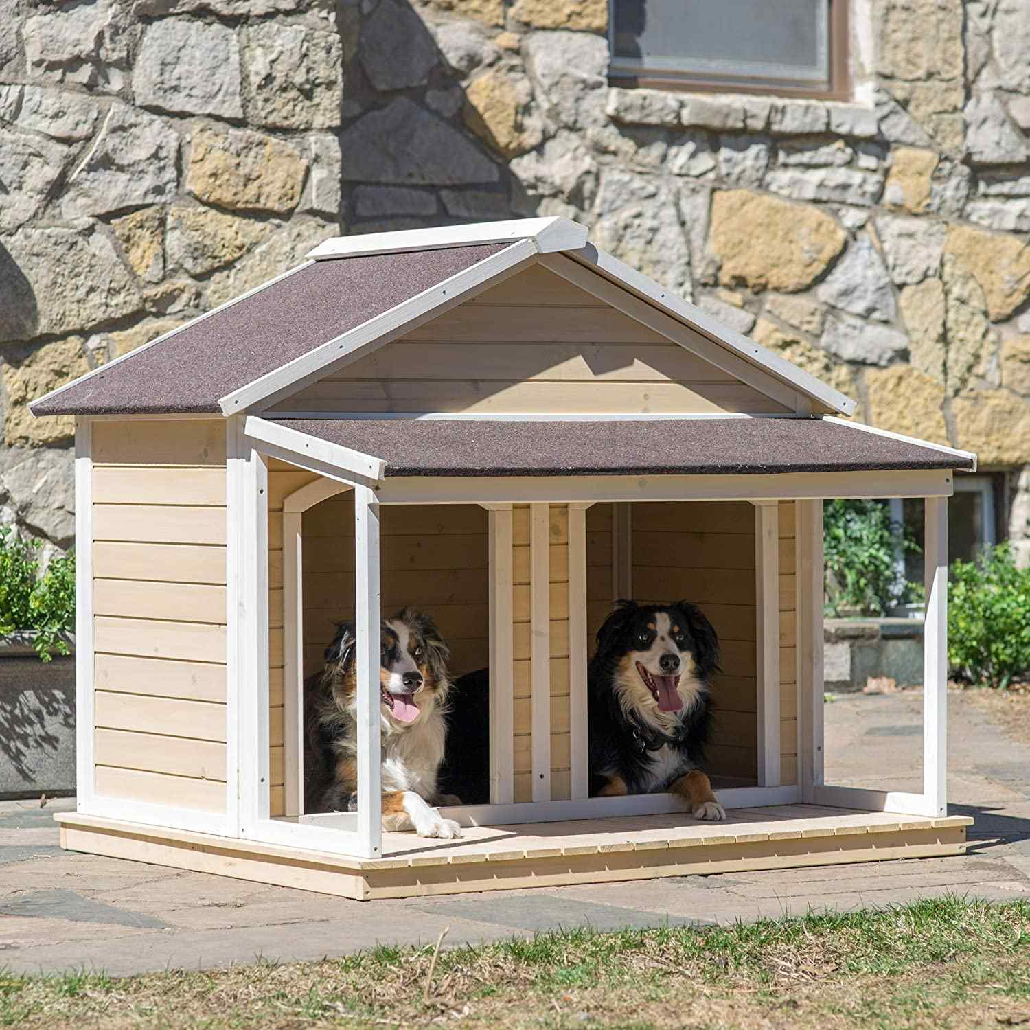 Dog House Ideas for the Special Pup in Your Life