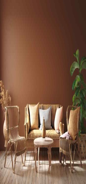 Brown colour furniture