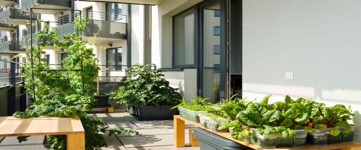 Home Balcony Design Ideas 