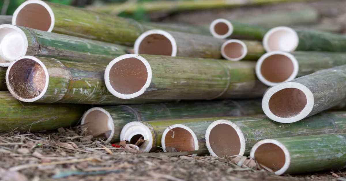 How Durable is Bamboo?
