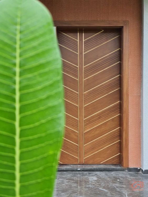 Veneer Door Designs