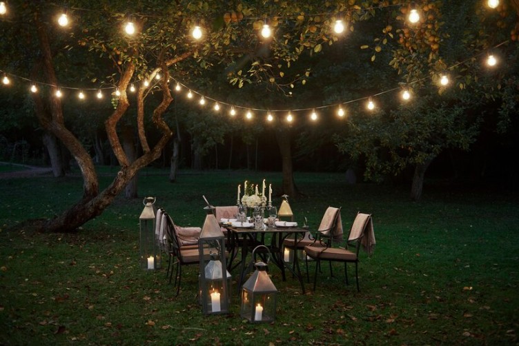 Illuminate Your Garden with Garden Lighting Ideas