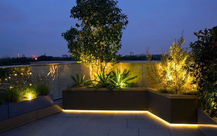 Illuminate Your Garden with Garden Lighting Ideas