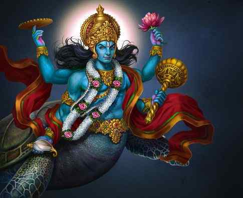 Brahma Kamal Plant and Vastu