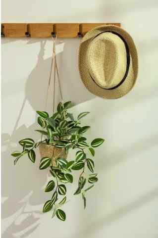 Window Decoration Ideas